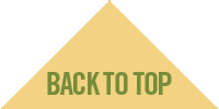 Back to top